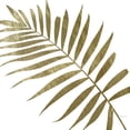 thumbnail image 2 of Craven, Katrina 15x15 White Modern Wood Framed Museum Art Print Titled - Golden Frond II, 2 of 4