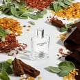 thumbnail image 3 of STETSON SPIRIT COLOGNE, 3 of 3