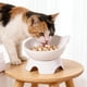 thumbnail image 5 of Cuenco elevado para perros y gatos con soporte de cuello a 15° - Plato inclinado para comida antiasfixia para razas de cara plana, base antideslizante con peso, cuenco fácil de limpiar, 5 of 6