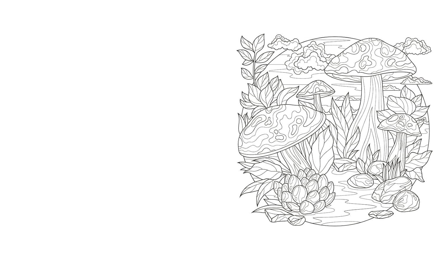 Tansy Willow The Beautiful World Colouring Book (Paperback) Arcturus Creative Colouring