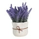 thumbnail image 4 of Maceta de flores BLESIY Bonsái en maceta de lavanda para oficina de Cocina de hotel Estilo A, 4 of 8