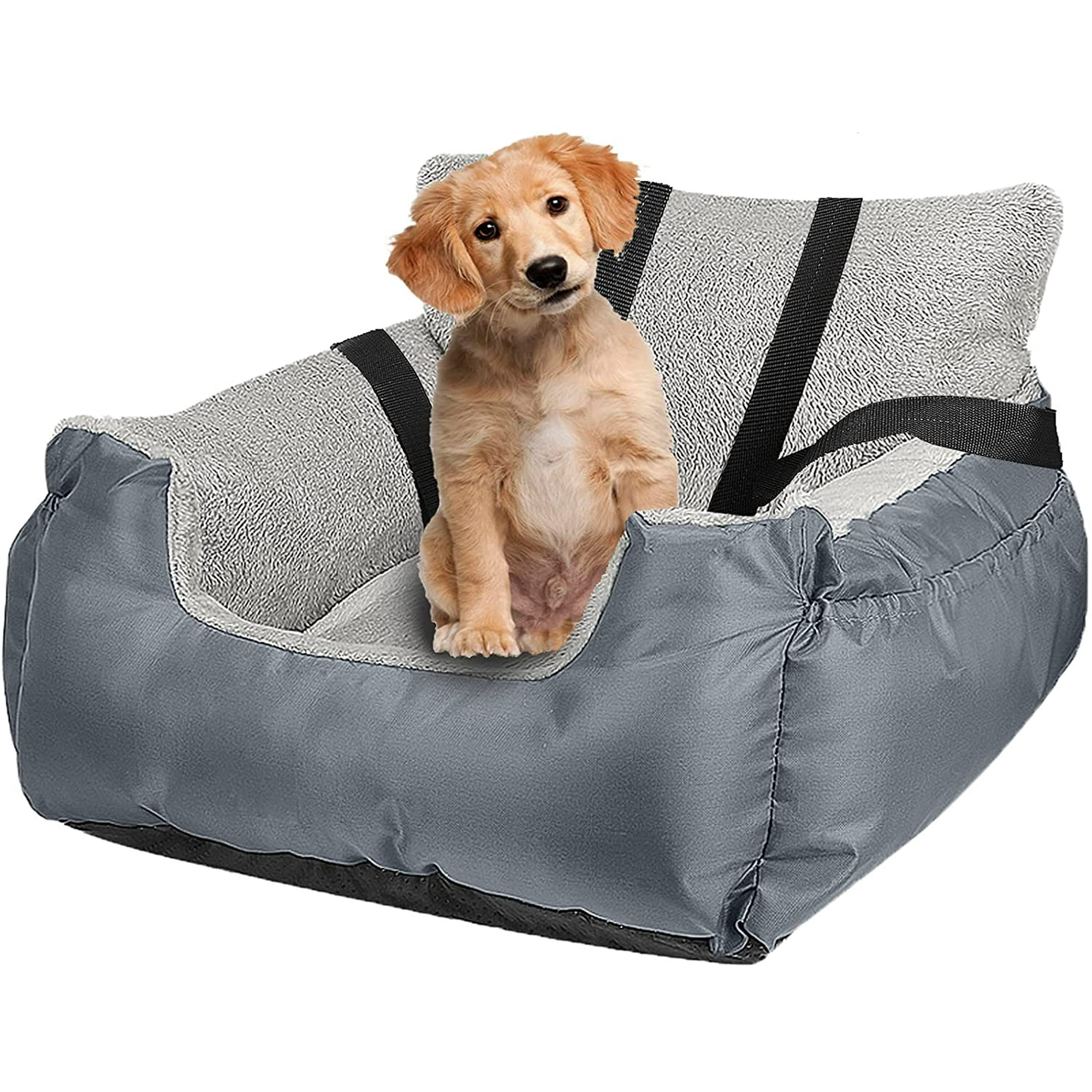 Dog chair car 2025