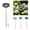 Blue&Brown, variant on Porcelain Ceramic Flower Garden Stakes with Bird Bath & Bee Pollinator Watering Station Mini Birdbath Decoration Rain Catcher, Hummingbird Feeder Fountain Bowl for Outdoors,Green