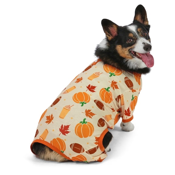 Vibrant Life Halloween Pajamas for Dogs, Pumpkins and Leaves, Orange, M