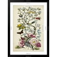 thumbnail image 5 of Art.com Chinoiserie Natura II Art Print by Naomi McCavitt, Black Frame Wall Art, 32" x 44", 5 of 5