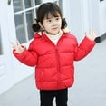 thumbnail image 2 of Toddler Winter Warm Coats Boys Girls Fleece Hooded Jackets Zipper Tops Snow Clothes 1-6Y, 2 of 6