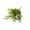 White, variant on UV Resistant Artificial Flowers for Outdoor, Realistic Artificial for Porch Patio Window Box, Artificial Spring Flowers for Garden Planter Home Decor, UV Protected Artificial Flowers