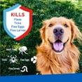 thumbnail image 3 of Spray Adams Plus Flea & Tick con Precor para perros y gatos, 240 ml, 3 of 9
