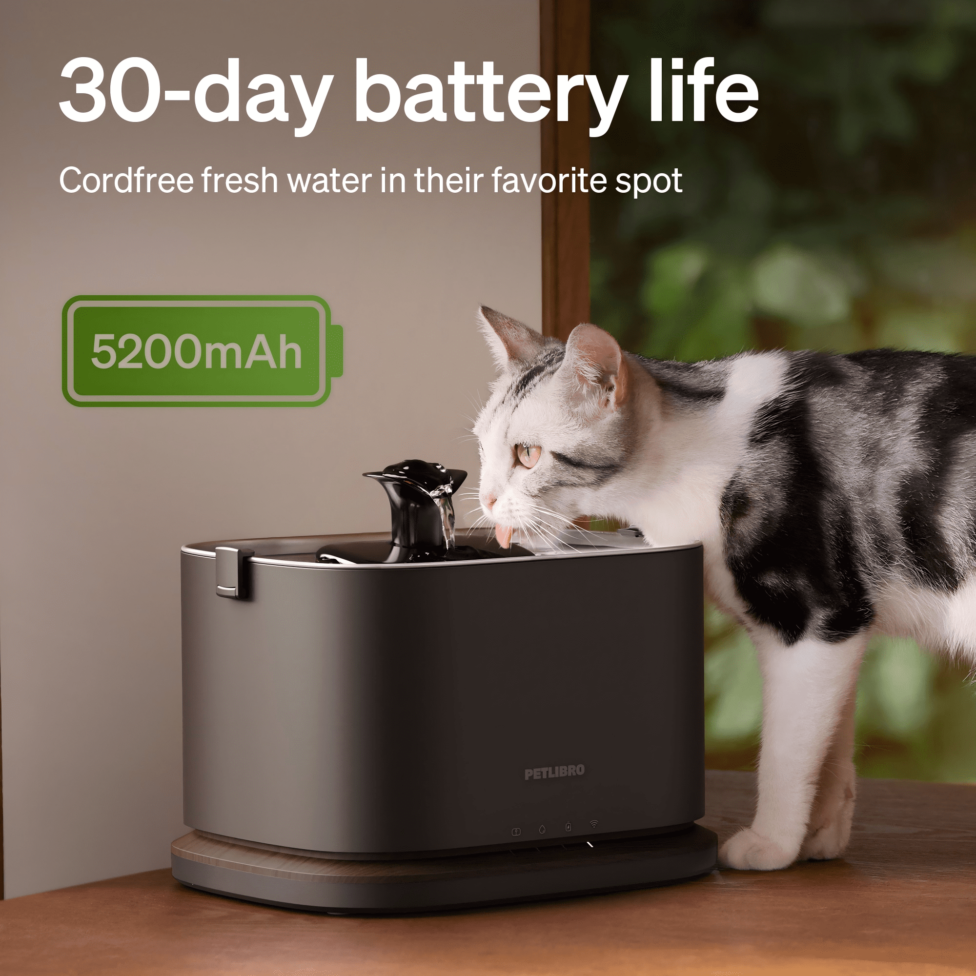 PETLIBRO Dockstream 2 Cordless Automatic Cat Water Fountain, 3L/101oz Pet Water Fountain with Stainless Steel Bowl Dispenser, Battery Operated, 5GHz WiFi App Monitor, Black