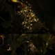 thumbnail image 3 of Yuarrent Lámpara Solar de jardín de pavo real de 5 piezas, luz suave y cálida para espacios al aire libre, luz LED para jardín con energía Iluminación y accesorios, 3 of 6