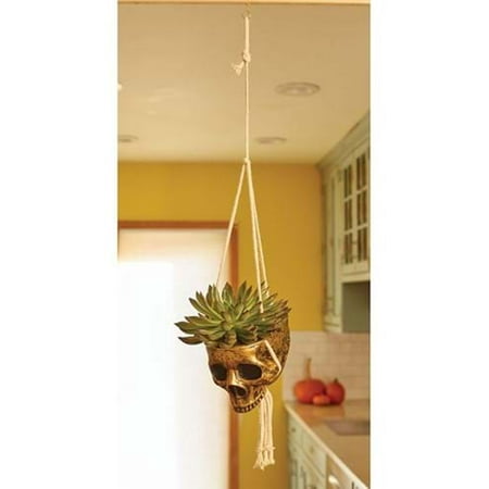 Hanging Skull Gold Color Planter