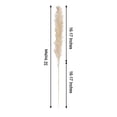 thumbnail image 3 of Efavormart 6 Pack | 32" Dried Wheat Pampas Grass Plant Stems, Grass Spray Decor, 3 of 11