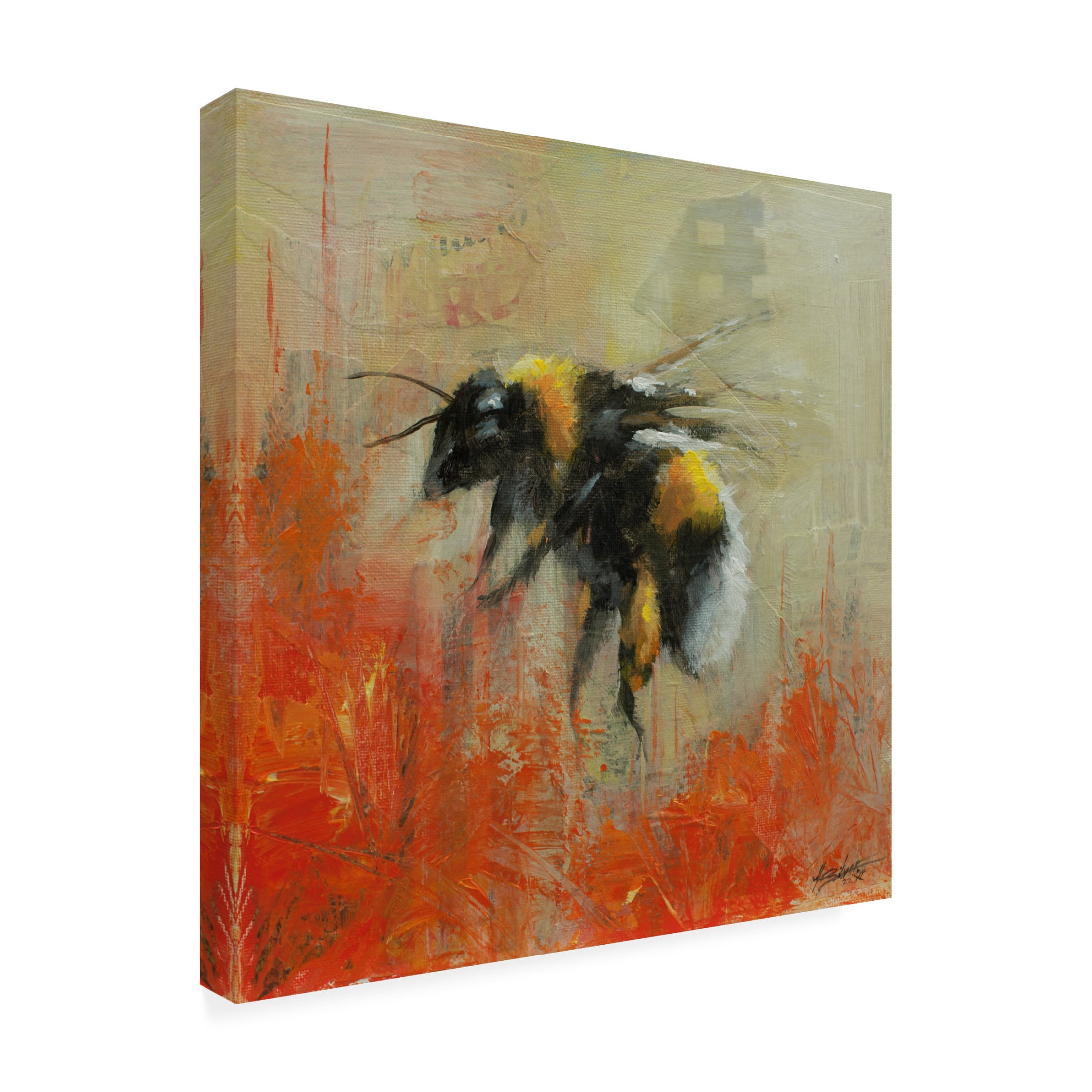 Canvas Wall Art - John Silver 'Bumblebee 2' Wall Art for Living Room, Bedroom, or Office Décor by Trademark Fine Art - 24 x 24 Inches