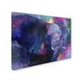 thumbnail image 2 of Trademark Fine Art 'Art Elephoto 4' Canvas Art by Richard Wallich, 2 of 3