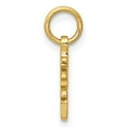 thumbnail image 2 of 14k Yellow Gold Solid Polished Chinese Long Life Charm Pendant, 2 of 4