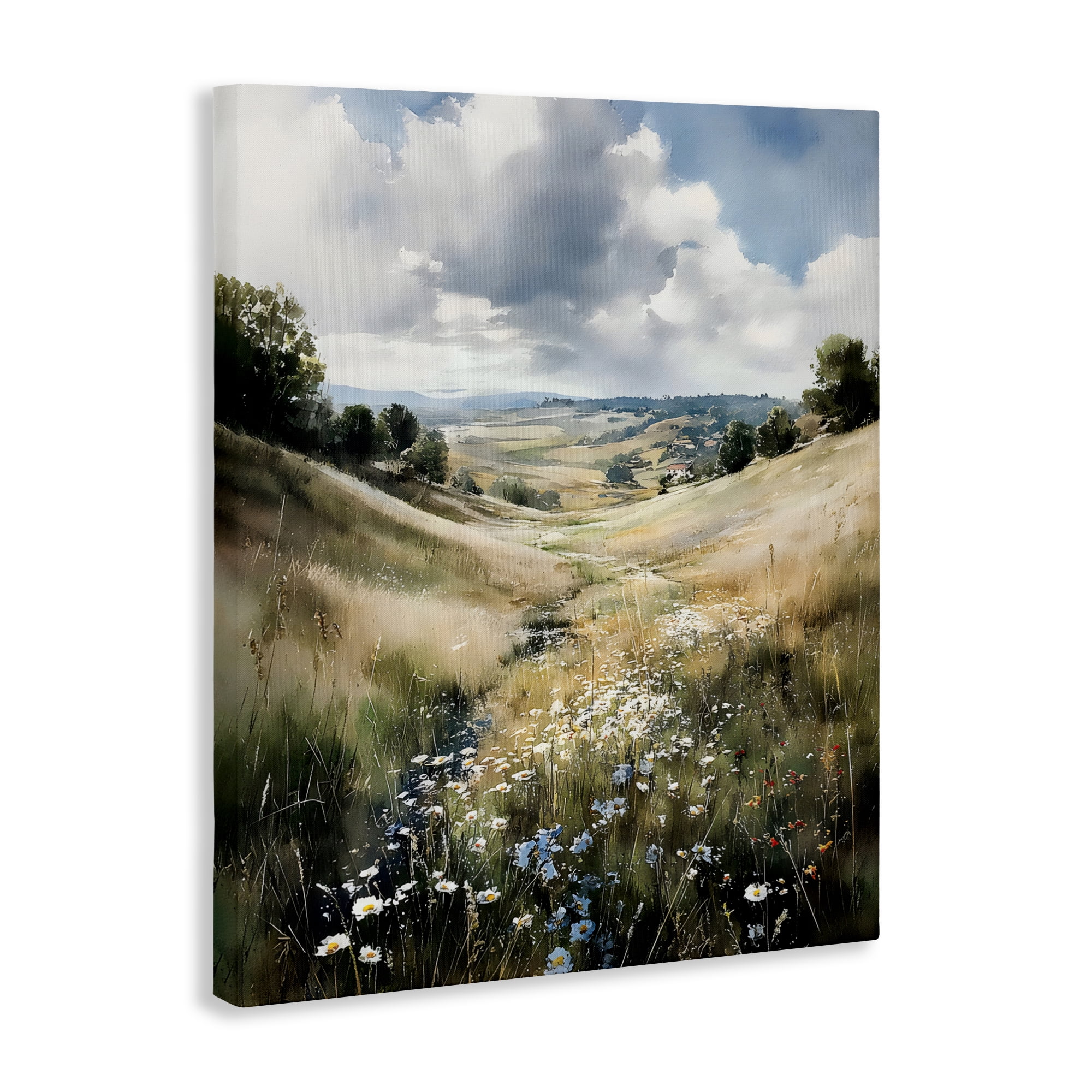 Stupell Industries Floral Valley of Wild Daisies Canvas Wall Art, design by Franklyn Gregory