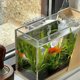 thumbnail image 2 of Aquarium Tool Holder - Acrylic Tweezers and Scissors Rack for Water Plant Maintenance - Organize Aquarium Accessories, 2 of 5