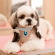 thumbnail image 4 of Collar de perro con diamantes de imitación, 2 uds., collar de diamantes de imitación de tres hileras con colgante de corazón, collar de gato de cristal ajustable, 4 of 5
