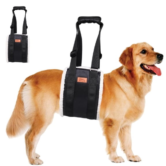 Misright Professional Lift Dog Harness Includes Lift Handle for Legs Stand
