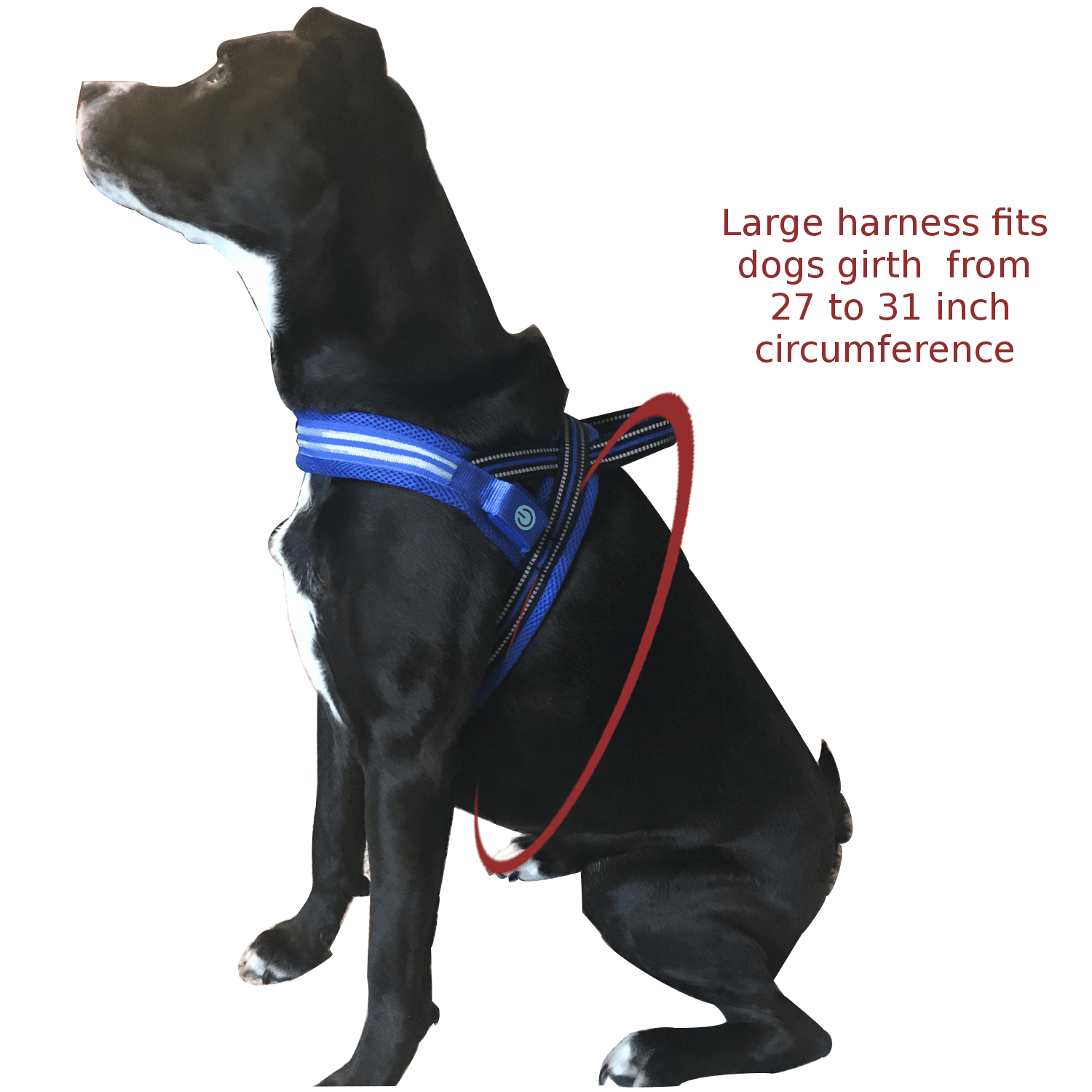 Fast Slip Over LED Large Red Dog Harness With LED Chest Light And Reflective Seams, No Choke Design