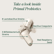Primal Harvest Probiotic, 1 Pack: Postbiotics, Prebiotics & 31 Billion CFUs for Men & Women (30ct)