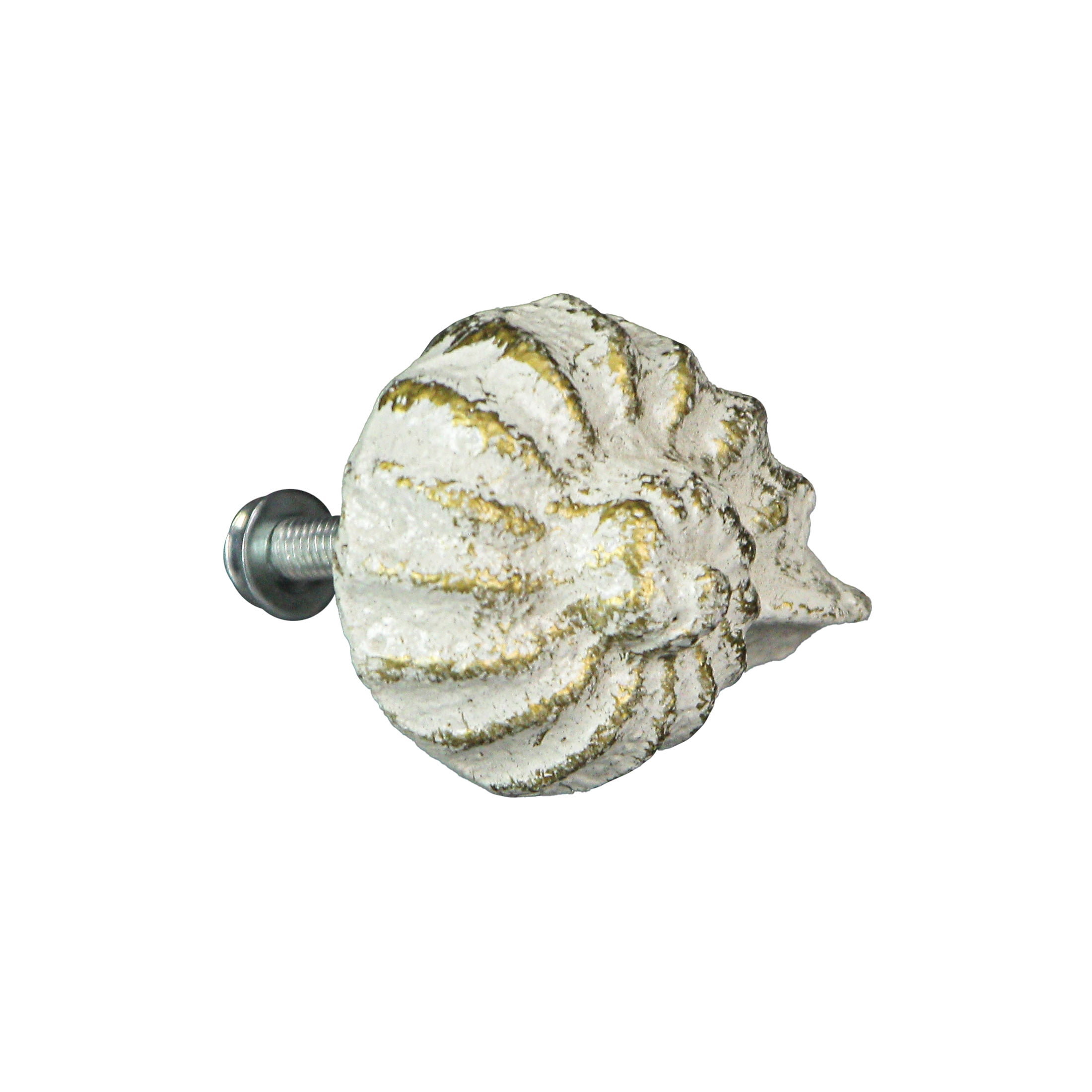 Zeckos White Cast Iron Nautilus Shell Cabinet Drawer Pull Set of 6