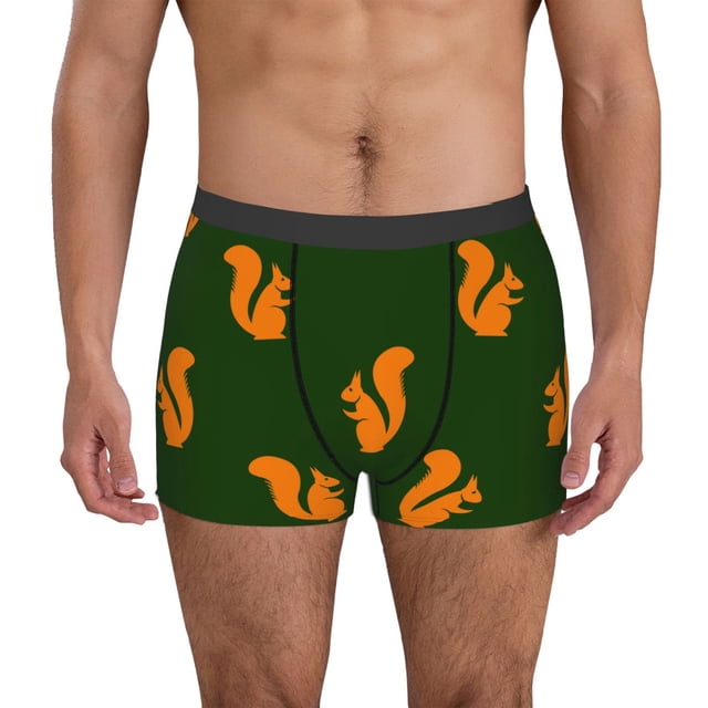 Balery Bold Squirrel Silhouettes Calzoncillos bóxer para hombre, ropa interior de algodón suave y transpirable con cinturilla de nailon-Small
