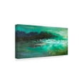 thumbnail image 2 of Trademark Fine Art 'Dusk on the Coast' Canvas Art by Sheila Finch, 2 of 4