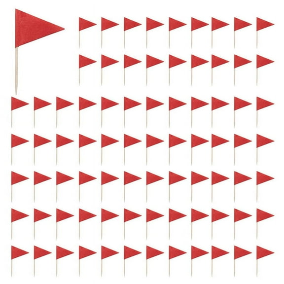 200 Pcs Solid Red Toothpick Flags Small Mini Plain Red Color Stick Cupcake Toppers Flags DIY Decoration