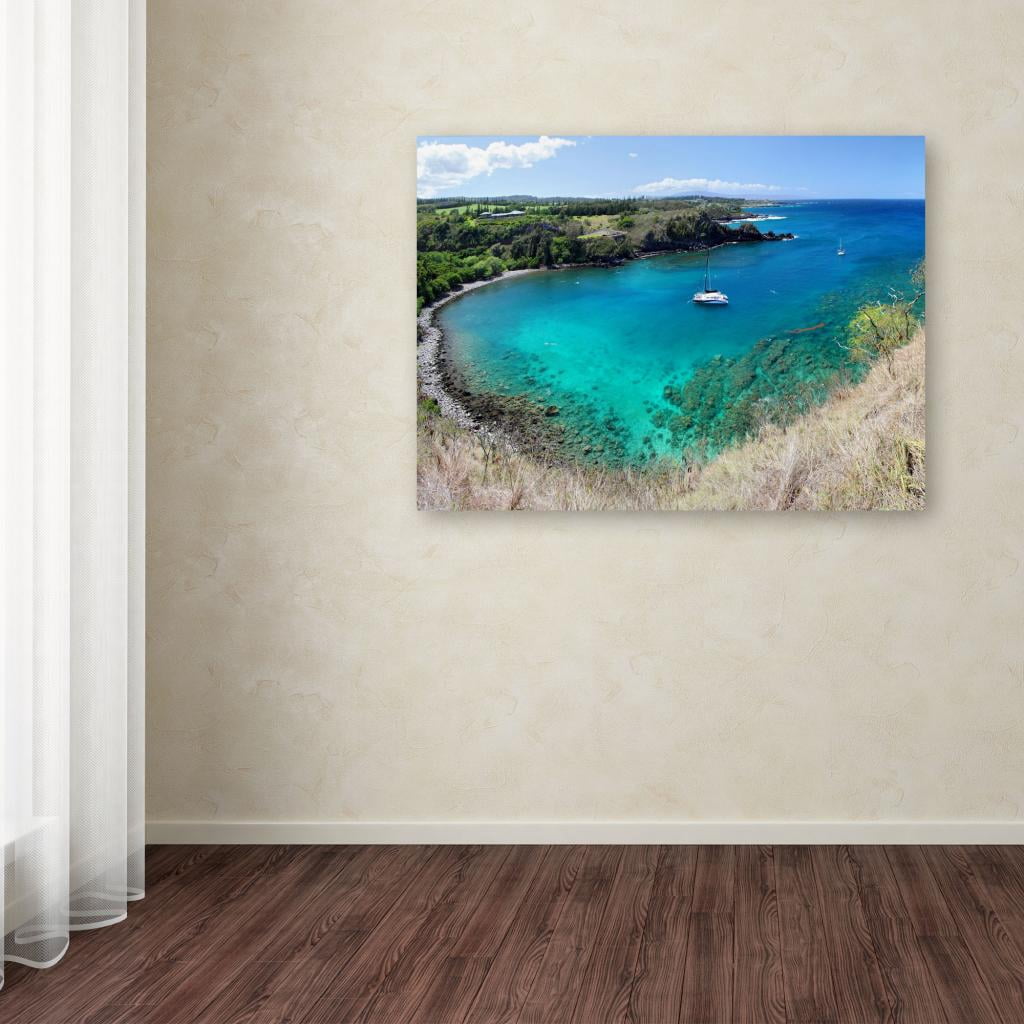 Trademark Fine Art "Honolua Bay" Canvas Art by Pierre Leclerc
