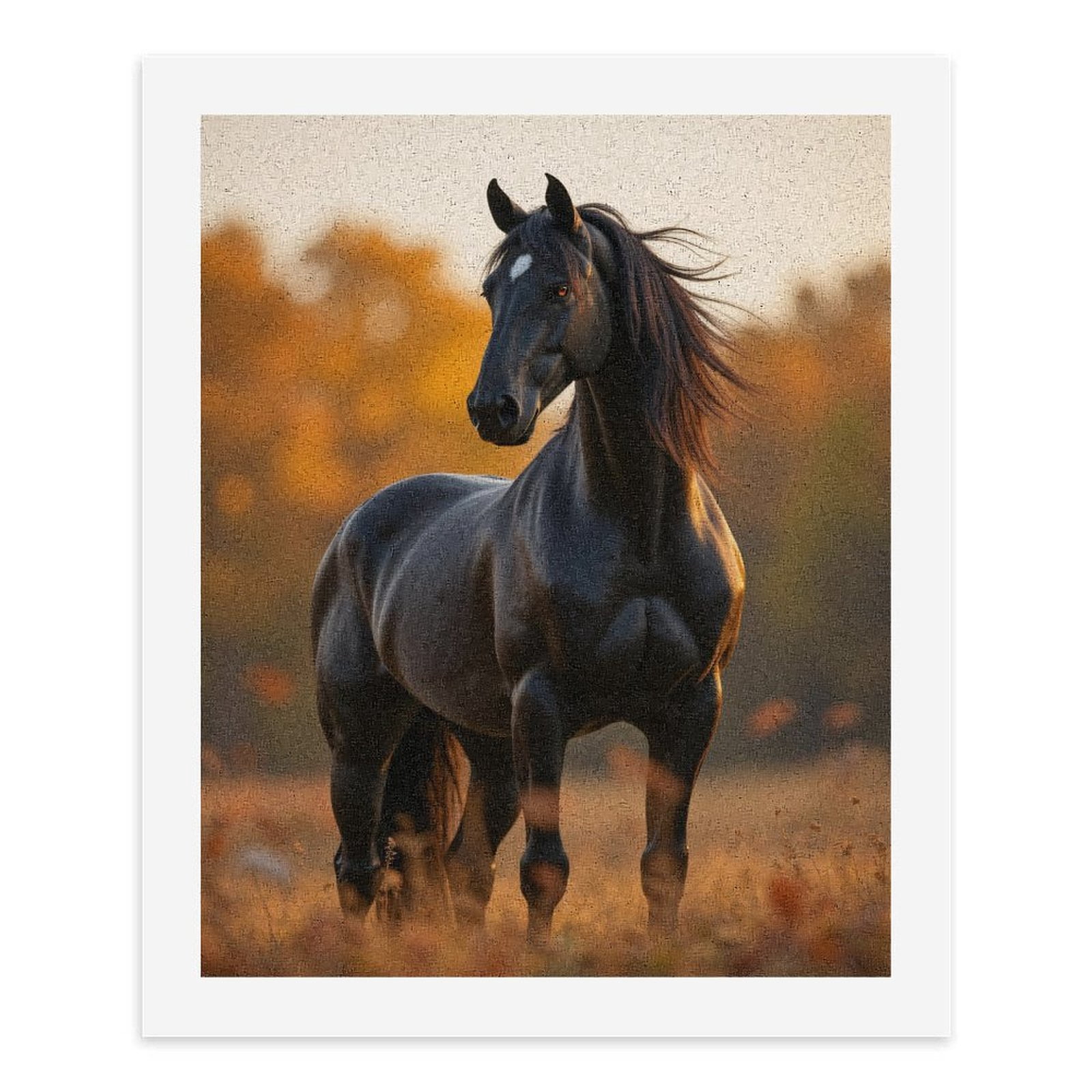 Paint By Numbers Kit for Adults Beginner - DIY Majestic Black Horse Autumn Field Canvas Painting Kits for Adults, Frameless Paint By Number for Adults for Home Wall Decor 16x20 Inch
