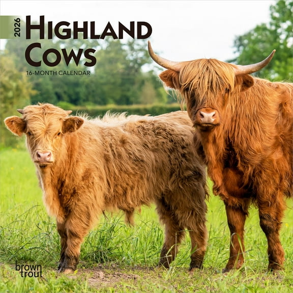 Highland Cows | 2026 7x14" (Hanging) Monthly Mini Wall Calendar | BrownTrout