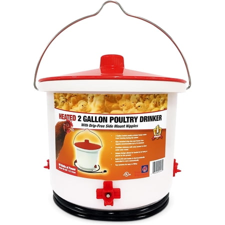 Farm Innovators Heated Waterer with Lid