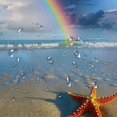 thumbnail image 5 of Chilfamy  Starfish Shower Curtain, Rainbow Over The Sea Clouds and Clear Sky Foamy Ocean Waves on The Sandy Beach, Cloth Fabric Bathroom Decor Set with Hooks,Azure Blue Tan White, 5 of 7