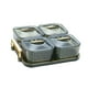 thumbnail image 2 of Platos Divididos Duraderos Tarro de Galletas Plato para Servir Bocadillos de Frutas Postre Dividir Verde con 4 Rejillas, 2 of 9