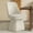 Cream, variant on Spruce & Spring Modern 360-Degree Swivel Upholstered Dining Chair, Faux Leather Accent Chair with Conical Base, Cream