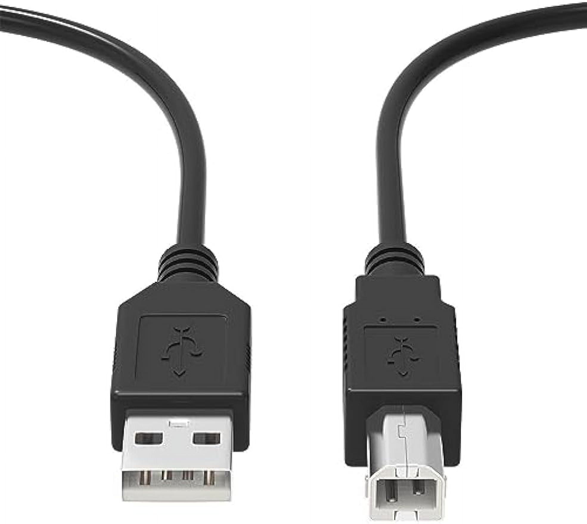 Cavo Stampante USB 2.0 Fenzer Alta Velocità – A Maschio A B Maschio, 1-100 Piedi (Scegli Lunghezza)