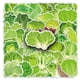 thumbnail image 3 of Pegatinas de vinilo con estampado de lechuga y verduras, impermeables, 50 unidades, 3 of 5