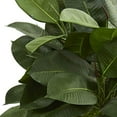 thumbnail image 2 of Nearly Natural 9244 26 in. Artificial Rubber Plant in Stone Planter, 2 of 3