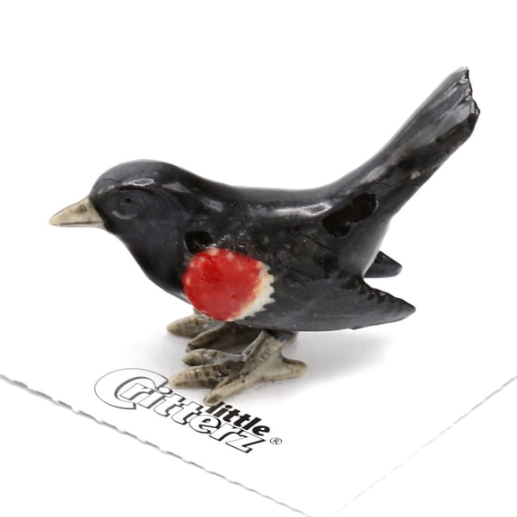 Little Critterz Red-Winged Blackbird "Marsh" Hand-painted - Home Decor Bird Decorative Figurine Birthday Gift - Miniature Porcelain Figurine