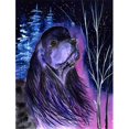 thumbnail image 1 of Carolines Treasures SS8385GF Starry Night Cocker Spaniel Flag - Garden Size, 1 of 3