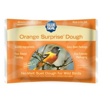 Blue Seal Orange Surprise Suet Dough Cakes for Wild Birds - 12oz Suet Feeder (Pack of 12) - New
