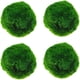 thumbnail image 1 of 4 bolas de musgo para acuario, bolas de musgo verde natural, plantas de bolas de algas artificiales para pecera, terrario, decoración de acuario Ofspeizc CZMR-ZC303, 1 of 2