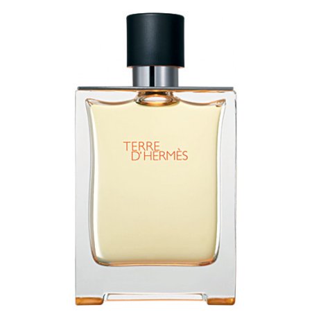 EAN 3346131402007 product image for Hermes Terre D' Hermes Eau De Toilette Spray, Cologne for Men, 6.7 Oz | upcitemdb.com