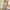 3# Pink cheap stuff under 1 dollar, variant on Cyber&Monday Deals Dyegold Short Jumpsuits For Women Summer Dressy Casual Sleeveless Boho Rompers Clothes Loose Spaghetti Strap Overalls Bibs