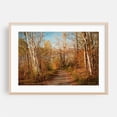 thumbnail image 2 of Autumn at Cannonsville Reservoir - New York Photography Autumn Woodland Forest Nature Scenic Landscape Woods Unframed Wall Art Print 5 x 7 inches, 2 of 7
