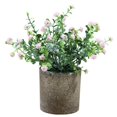 thumbnail image 1 of Fake Plant Potted Lifelike Small Artificial Greenery Plant Faux Plant Decoration, 1 of 10