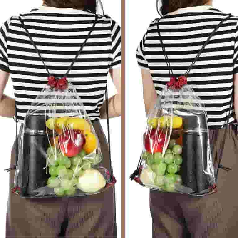 Clear Backpack For Stadium Events 2-Pack Clear Stadium Bags