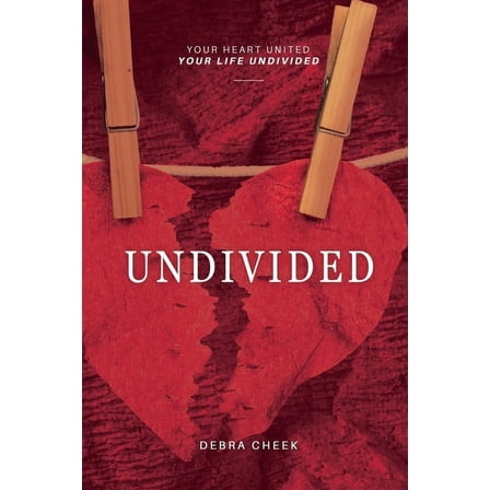Undivided (Paperback)
