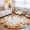 Orange Grey, variant on Round Rugs 5Ft, Fall Thanksgiving Round Area Rug Washable Indoor Throw Carpet, Eucalyptus Leaves Floral Botanical Soft Non Slip Circle Rug for Cabinet Bathroom Home Decor Aesthetic